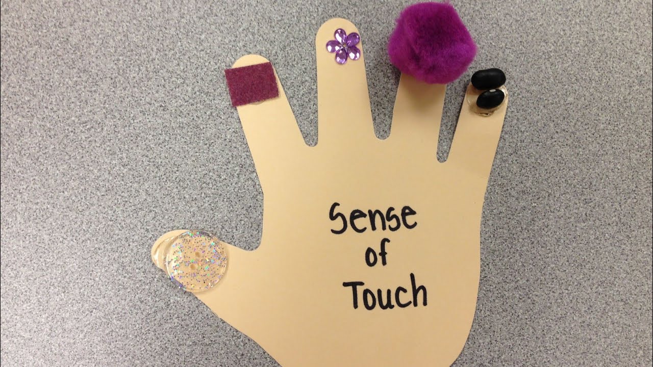 wisdom School five sense activity♥️♥️♥️♥️😍😍😍😍😍😍😍😍😍