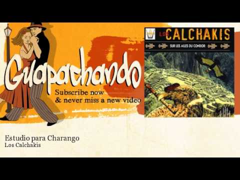 Estudio para charango video