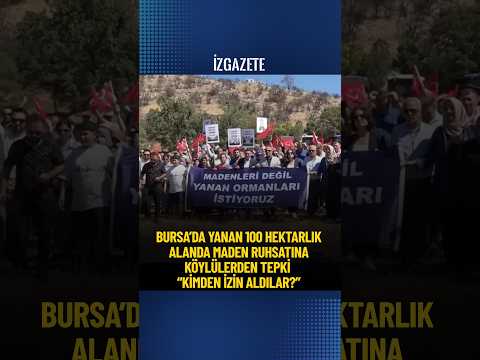 Bursa’da yanan 100 hektarlık alanda maden ruhsatına köylülerden tepki: Kimden izin aldılar? #bursa