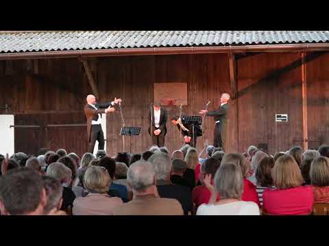 Spatzen-Quartett - O sole mio