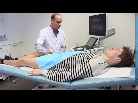 Groin pain and ultrasound - part 3 - Adductor muscles