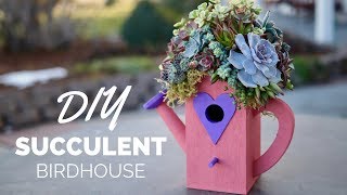 Top Your Birdhouse With Succulents!