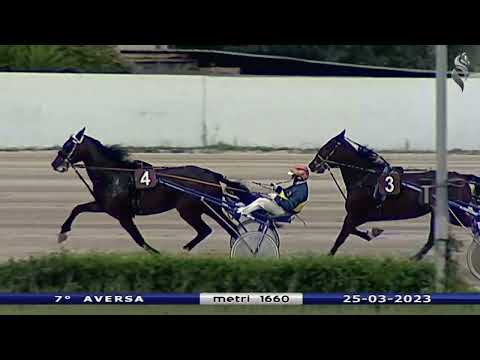 Aversa trotto 25 Marzo 2023 - 7° Corsa