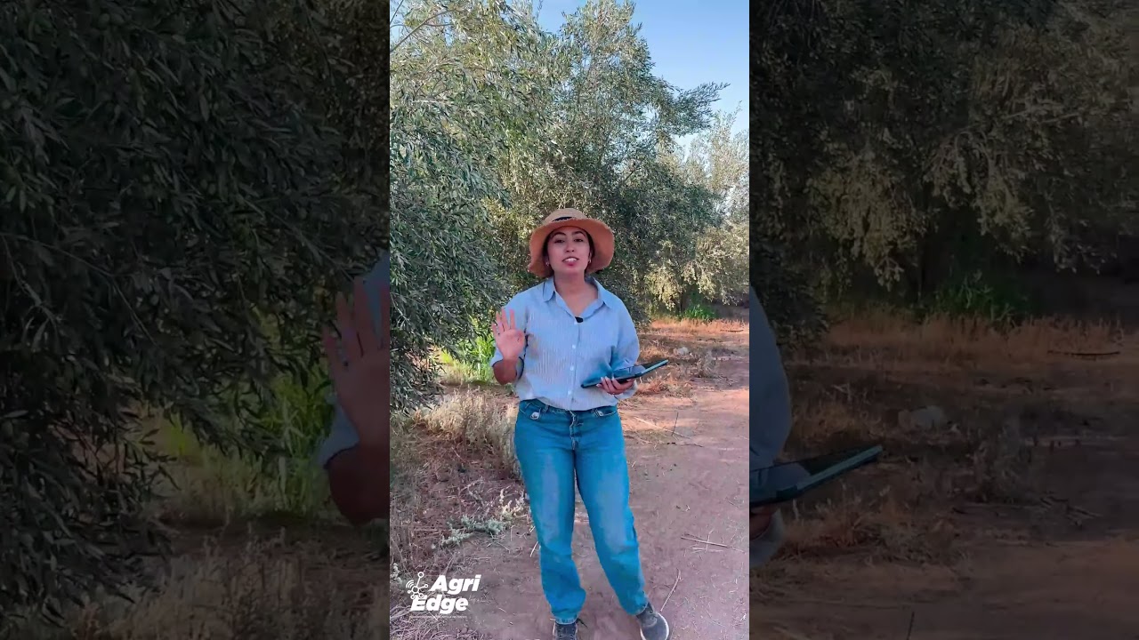 TrialEdge Data Standardization