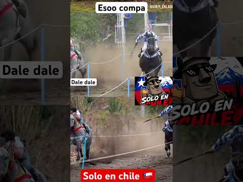 #chile #horse #cabello #humor #memes #funny #fypviralシ #fyp #funnyvideo #santiagodechile #parati