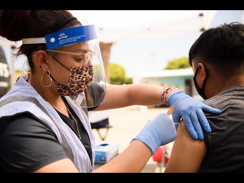 Hugging Sea Horse Book Is Too Racy For Schools, Tennessee Moms Group Says