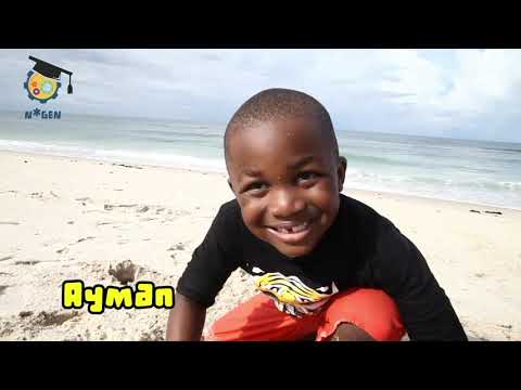 N*Gen: TURTLE HATCHING in Tanzania with Alveena and Ayman