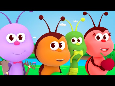 O Desafio e Mais Músicas Infantis Dos Bichinhos | O Reino Infantil