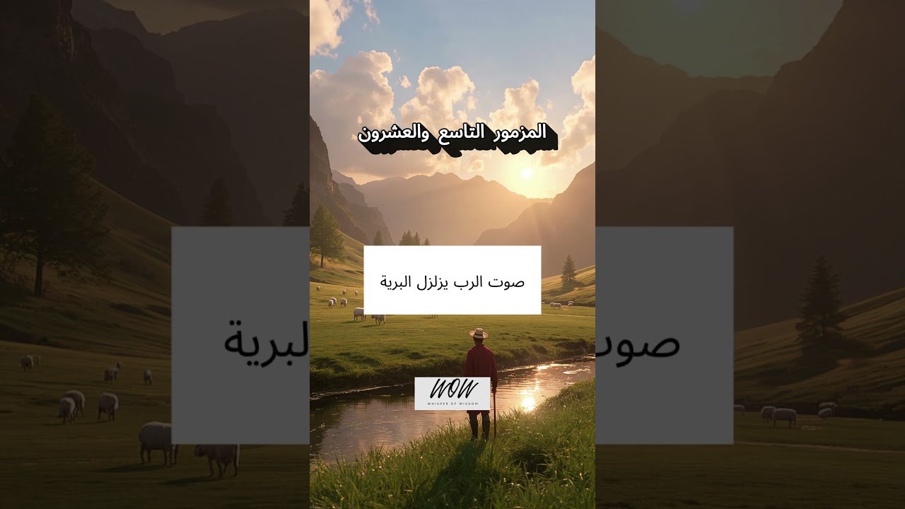 فيديو تفسير الكتاب المقدس | الكتاب المقدس رفيقي