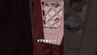 ネザーに突如現れたドア・・・🚪