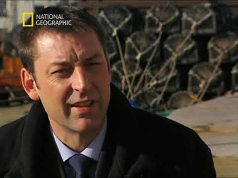 Interpol akták - Az Albert Walker ügy