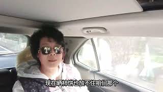 老两口太着急了，黄澄澄的柿子都在树上挂着呢,旅游,旅拍体验