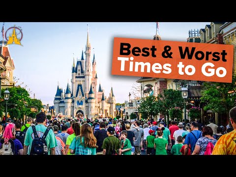Best times to visit Disney World in 2024 - WDW Prep School