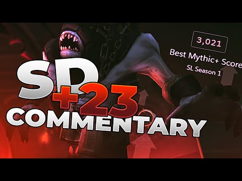 +23 Sanguine Depths Holy Priest Commentary and Guide