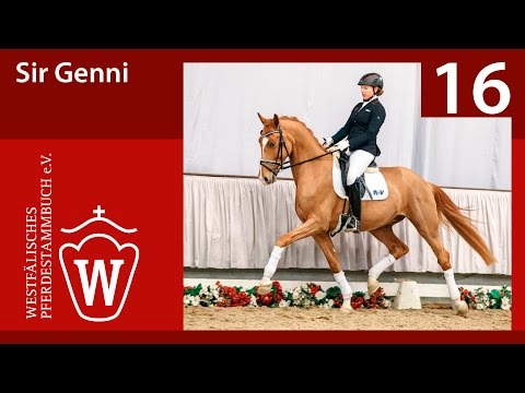 16 Sir Genni  Wallach v. Sezuan - Fürst Piccolo