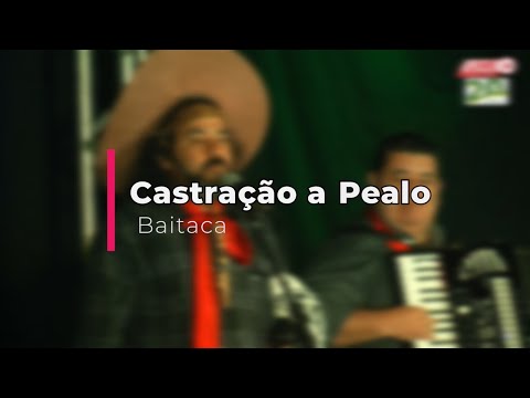 Castração A Pealo - Baitaca
