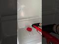 Inst. clean_home_asmr🫧 Fridge & Cif & Пемолюкс 🤍 #clean #asmr #cleaning #cleanasmr #fridge