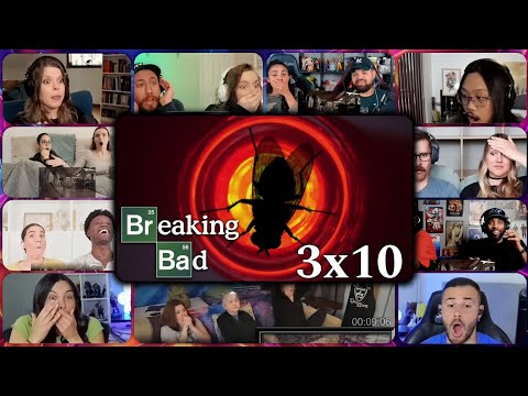 [Full Episode] Breaking Bad Season 3 Episode 10 Reaction Mashup | "Fly"
