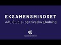 Eksamensmindset