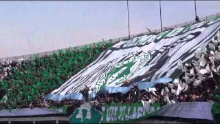 video-la-curva-sud-e-di-categoria-superiore-che-spettacolo