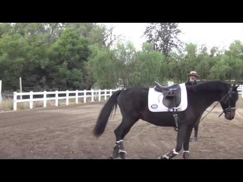 Tucker and Cody: 12-20-16