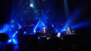 Cats On Trees &quot;Jimmy&quot; @AB 3Dec2014