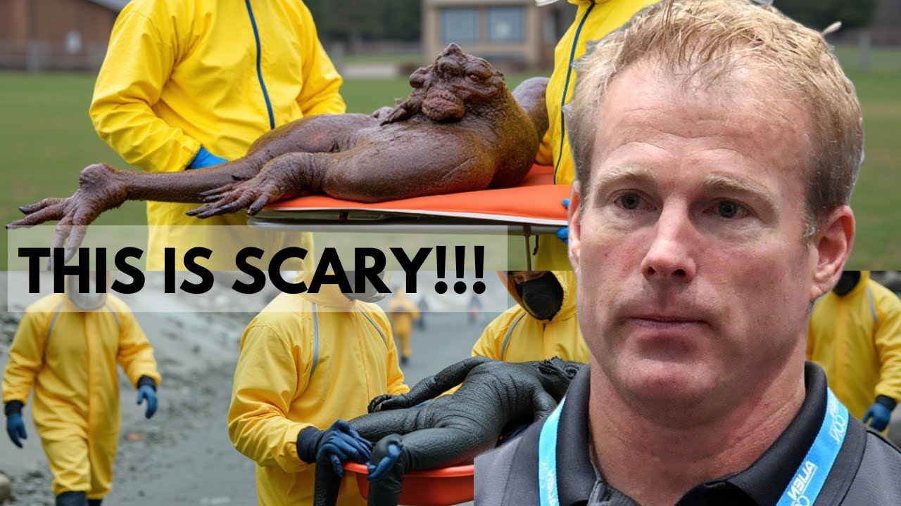 YouTube Thumbnail Downloader FULL HQ IMAGE