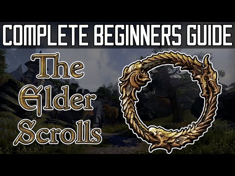 A Beginners guide to The Elder Scrolls Online