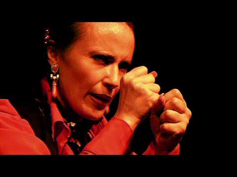 CASA PATAS 11 LA TRUCO / ROBERTO LORENTE / EL BOCAILLO / ANTONIO ESPAÑADERO / OMAR COSTA