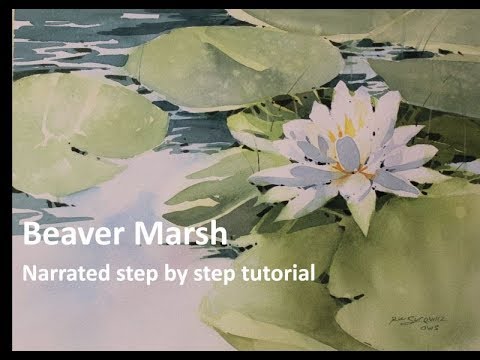 Watercolor Tutorial, " Beaver Marsh Lilly Pad", Narrated Transparent Watercolor Tutorial