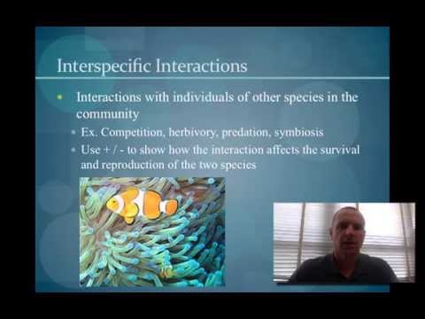 Community Ecology - Interactions
