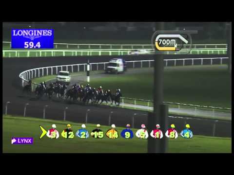 03.01.2013 Meydan (Dubai-UAE) 1.Race Galway Hurling Team Cup - Maiden 1.600 m