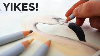 AVOID these watercolor pencils 🛑 (or do THIS!)