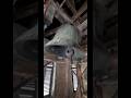 Me Vs Bell Who Win Church Strong Bell Romania