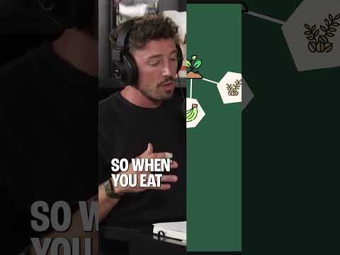 Polyphenols, prebiotics, and resistant starch—here’s why they’re essential EP 324 #shorts