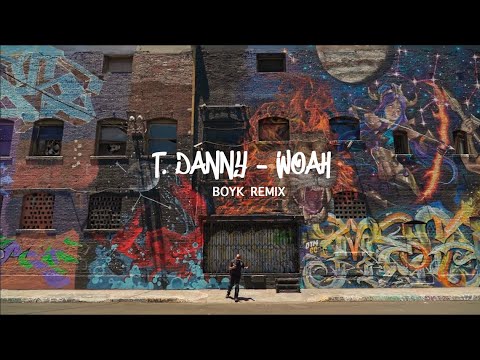 T. Danny - WOAH (boyk remix)