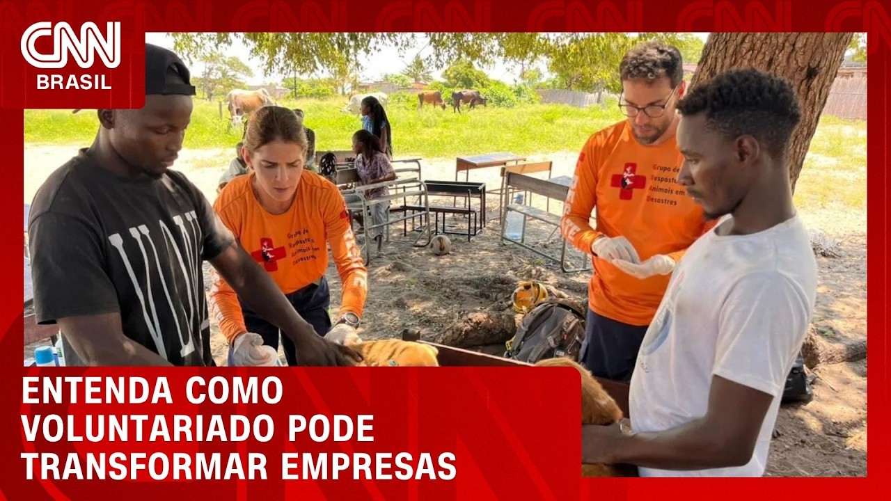 Entenda como voluntariado pode transformar empresas | LIVE CNN