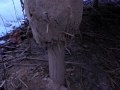 Spiral Chamber Compost Toilet