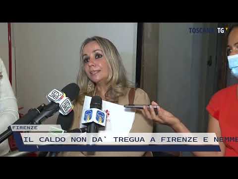 2022-06-27 FIRENZE - IL CALDO NON DA' TREGUA A FIRENZE E NEMMENO LE BLATTE