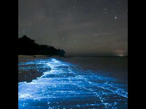 Michael Bradburn-Ruster, "Sospiri (Elgar)"