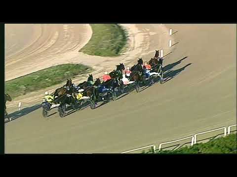 Napoli Trotto 27/11/2022 - 5ª corsa