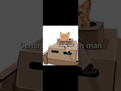 ypu better not messed with my gang