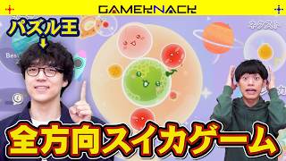 パズル王がスイカゲームの新作に挑戦したら初回からスイカが爆誕した【スイカゲーム ぷらねっと】