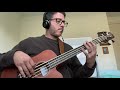 Julep Bassline Punch Brothers Bass Paul Kowert