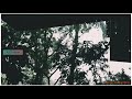 New Instrumental Monsoon Whatsapp Status Rainy Day Whatsapp Status