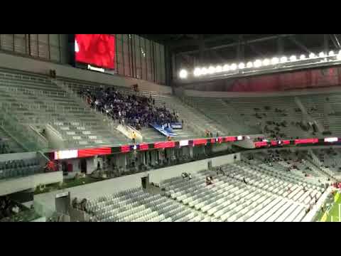 Torcida do Tubarão na Arena da Baixada