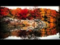 Fall In Philadelphia Lancaster And Valley Forge