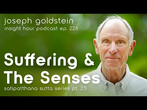 Joseph Goldstein: Suffering And The Senses – Insight Hour Ep. 228 – Satipatthana Sutta Series Pt. 25