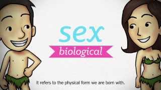 Sexuality Explained EP 1 - Understanding Sexuality
