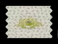 Klasky Csupo Graffiti Logo In Not Scary